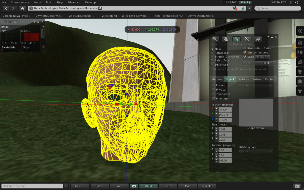Gwyn's Head, meshed